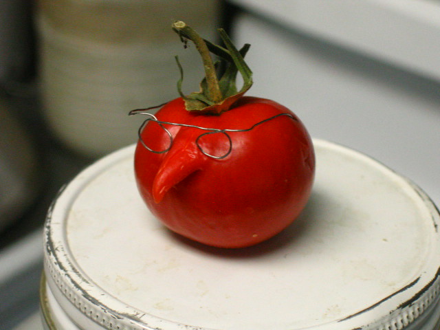 intelligent tomato